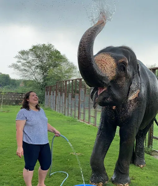 Elephant Shower